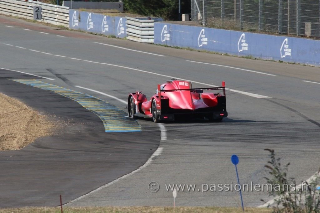 le mans 2020 Oreca N°50
