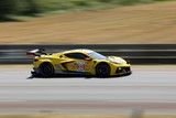 Chevrolet Corvette C8.R N°33