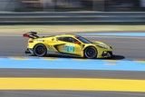 24h du mans 2022 Corvette C8.R N°63