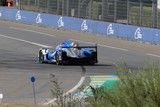 le mans 2020 Oreca N°31