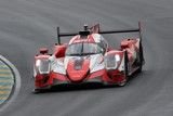 le mans 2021 Oreca N°31